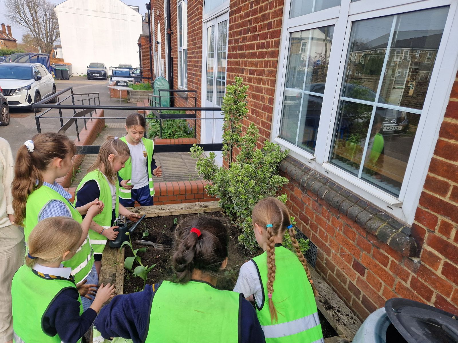 Picture of Orchard planting