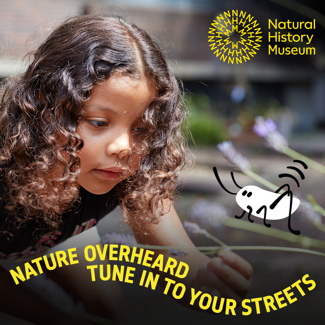 Natural History Museum Nature Overheard Tune In To Your Streets