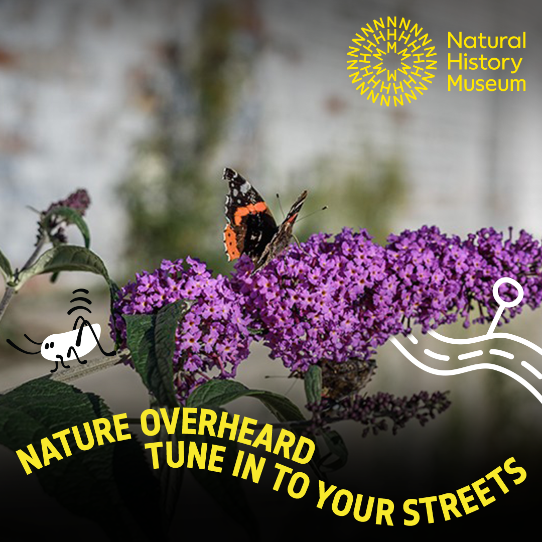 Natural History Museum Nature Overheard Tune In To Your Streets