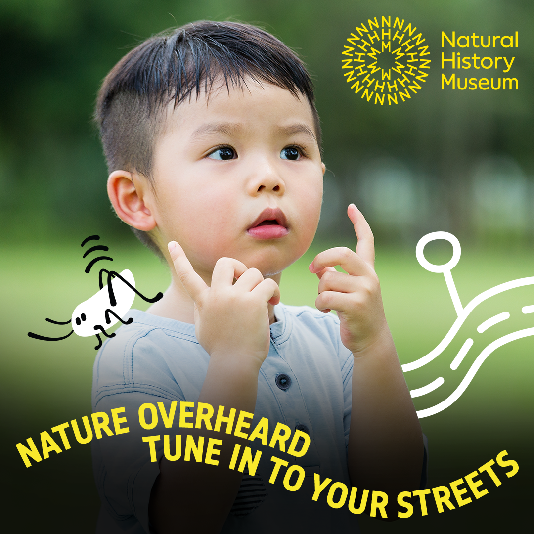 Natural History Museum Nature Overheard Tune In To Your Streets