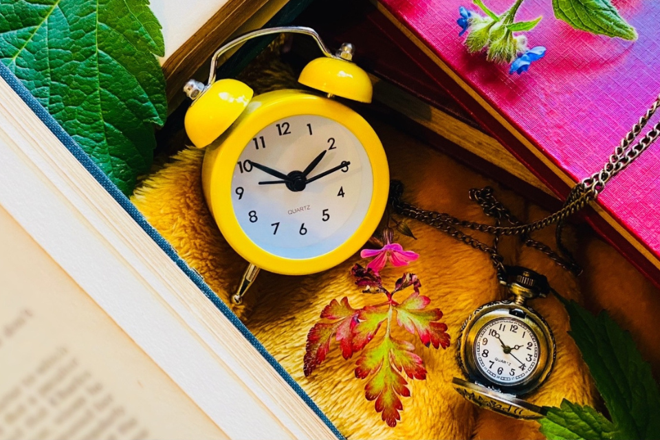 a yellow alarm clock, coloured leaves and a stopwatch