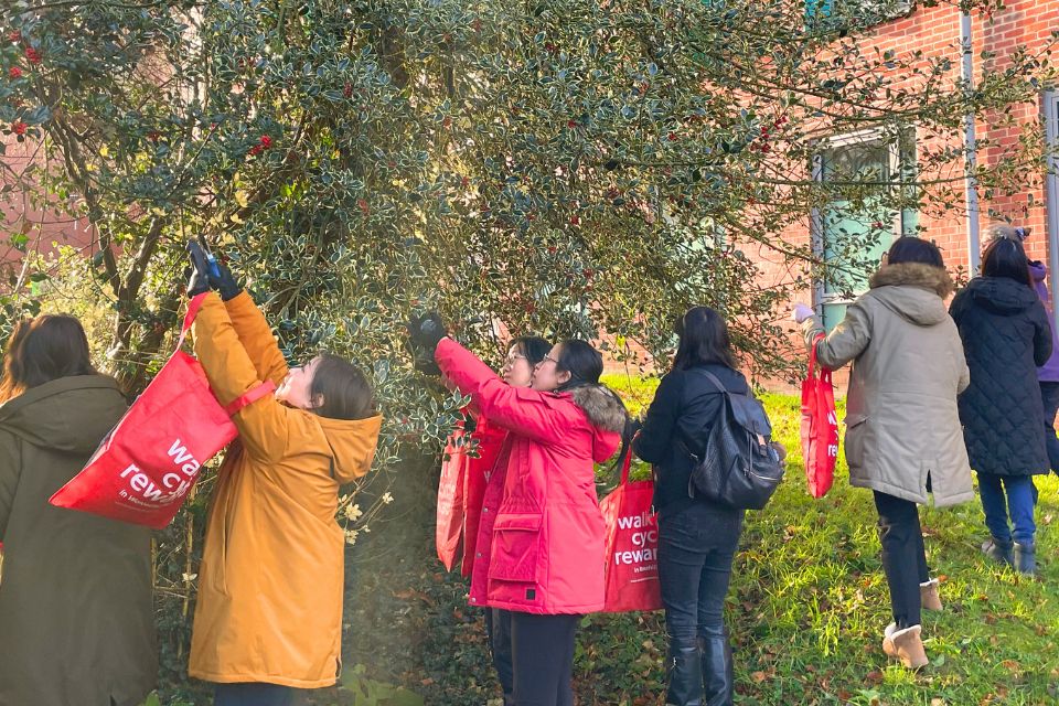 Six people cutting leaves from a tree