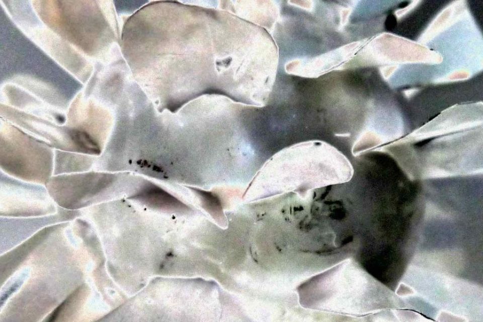 Artistic image of silver-like light refracted in multiple directions