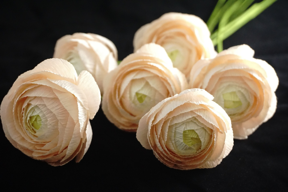 Language of Flowers Week
