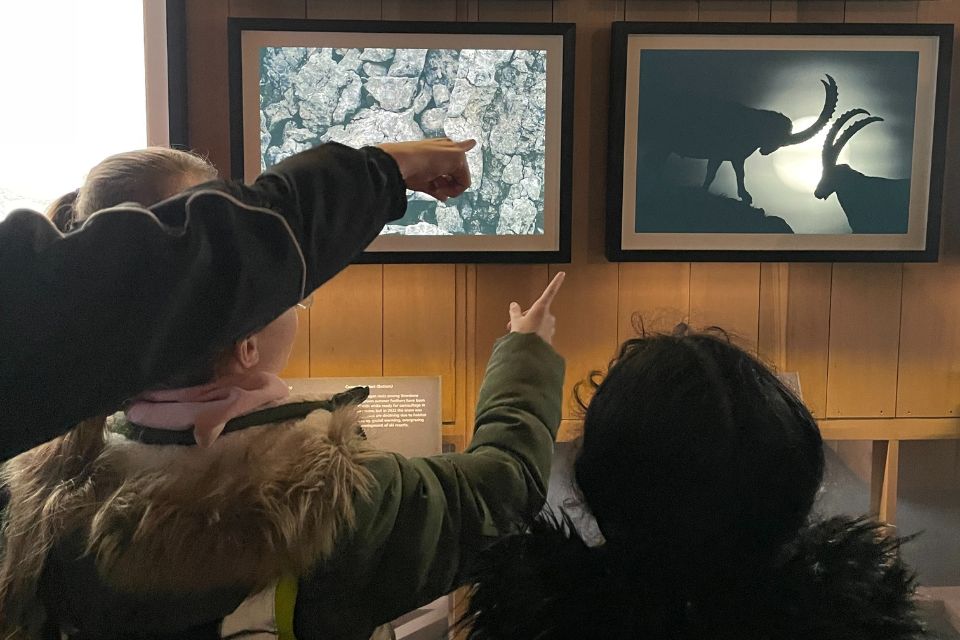 Small group of students pointing towards a photo of two rams in silhouette