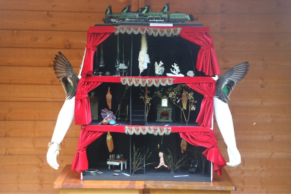 A small cabinet of surreal trinkets and models