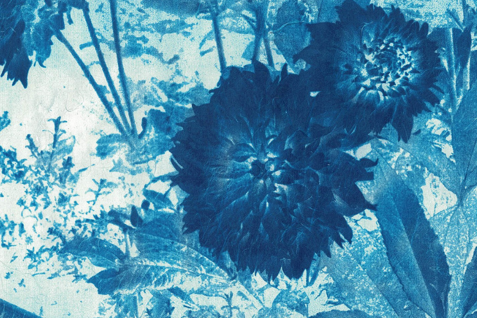 A majority blue picture with different shading to give the impression of flowers and leaves