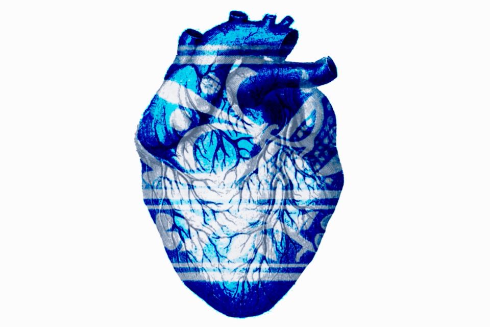 The biological depiction of a human heart covered in blue and white colouring