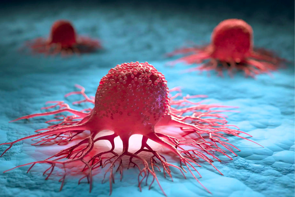Three computer generated representations of human cells