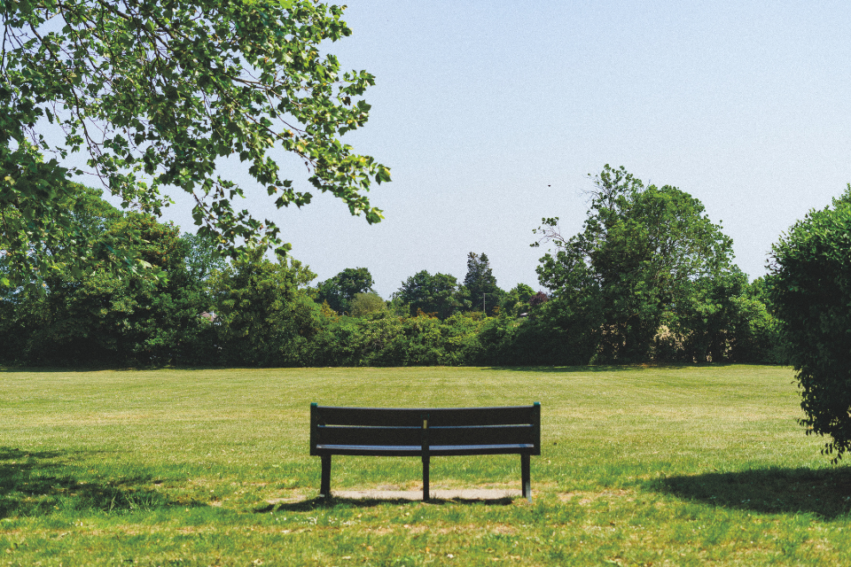 A sole bench in Queen Mary's Park