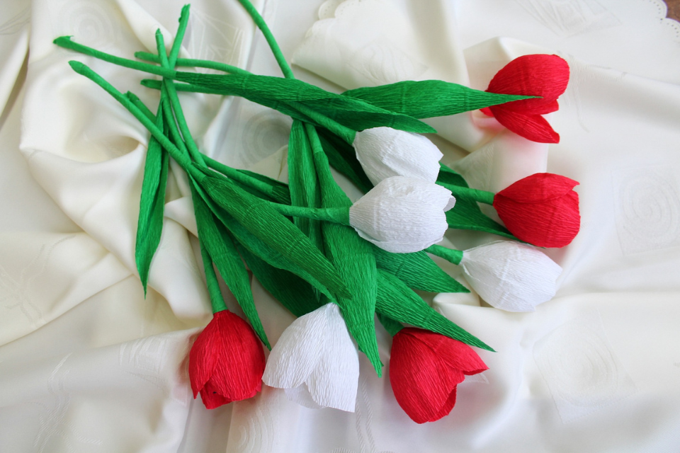 Inspired by Nature Trail and Crafts
