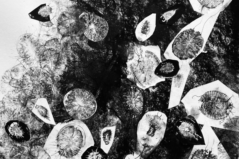 Black and white impressionistic shapes